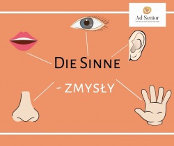 Lekcja 22 - Der Geruch, der Geschmack, das Gefühl also Sinne - Zapach, smak, czucie czyli zmysły 