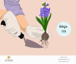 Lekcja 119 - Gartenarbeiten-  Prace w ogrodzie